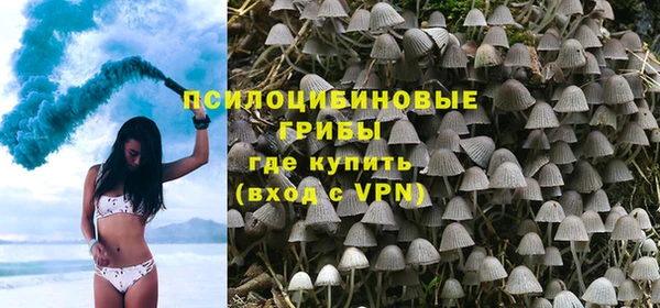 марки lsd Белокуриха