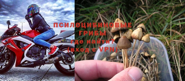 герыч Семилуки