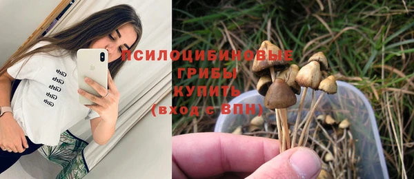 СК Беломорск