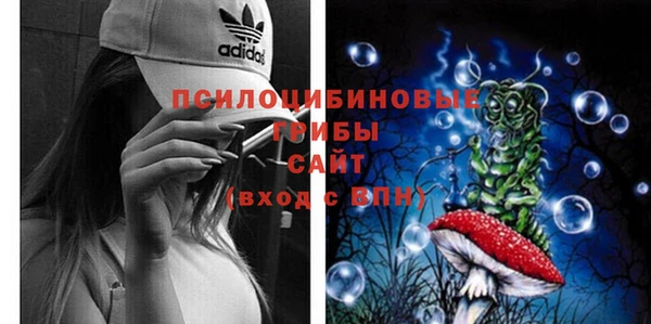 марки lsd Белокуриха