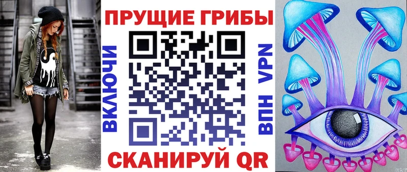 купить закладку  Короча  Галлюциногенные грибы GOLDEN TEACHER 