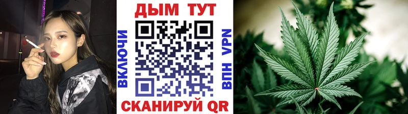 Конопля OG Kush  где можно купить наркотик  Короча 